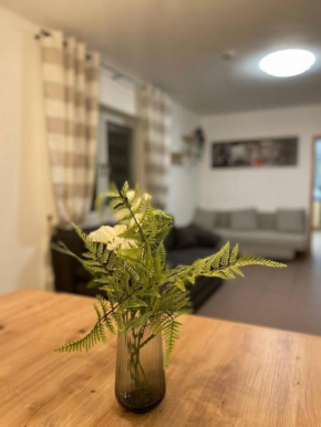 Rheinview Sunset Apartment Urbar